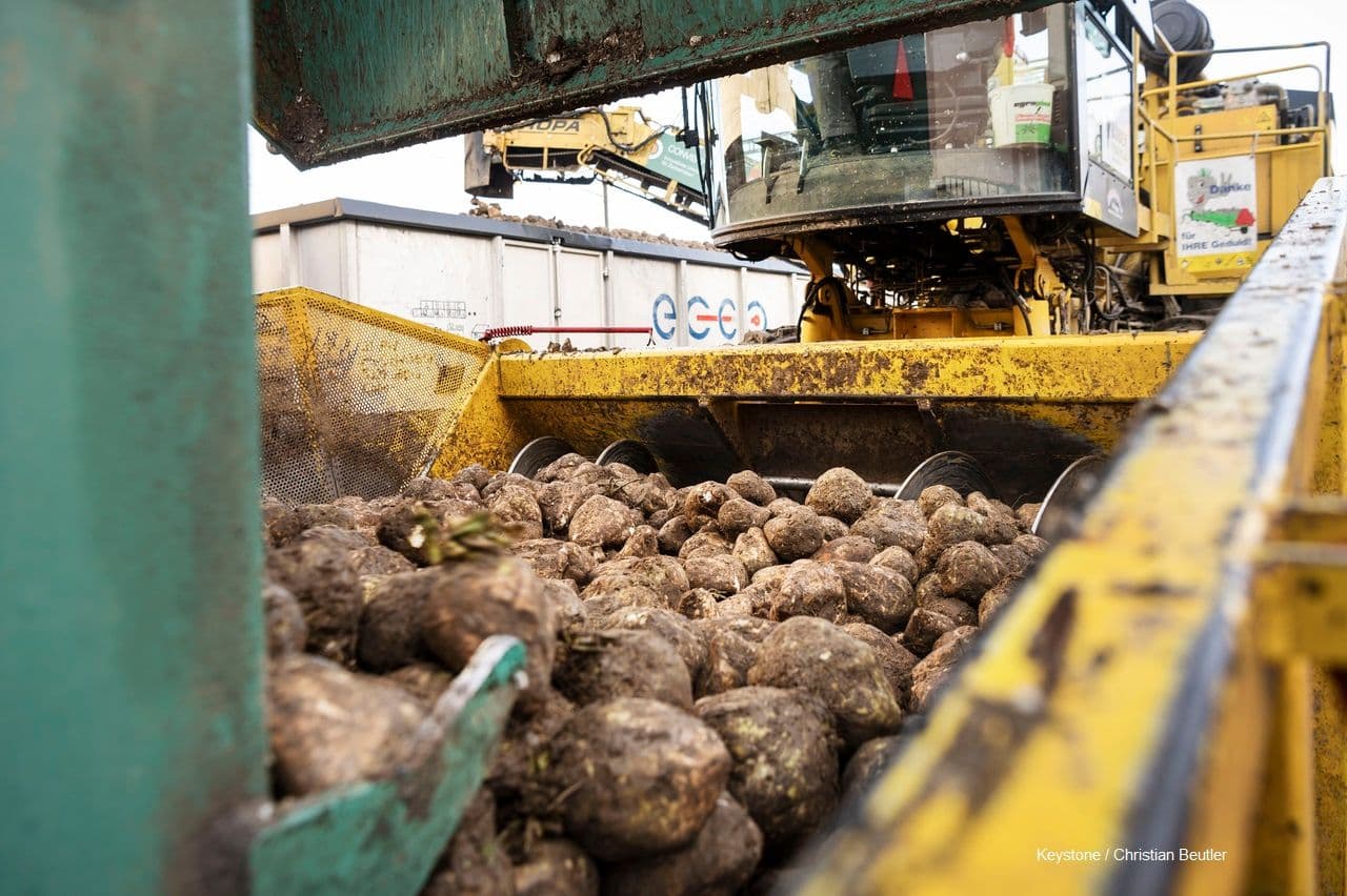 Herausforderungen Erntekampagne 2025 