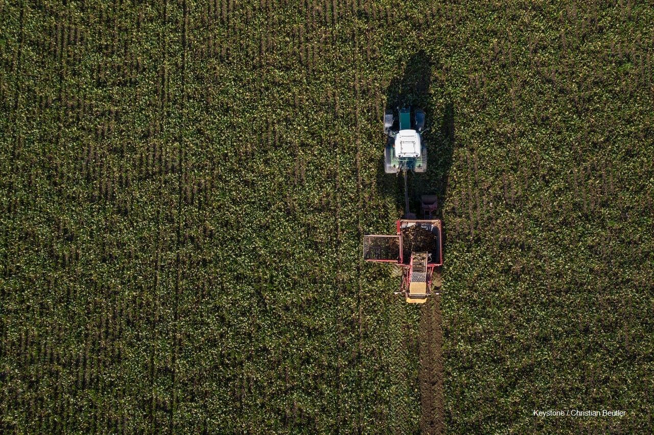 Provisorischer Verladeplan 2023 Entwurf 5 