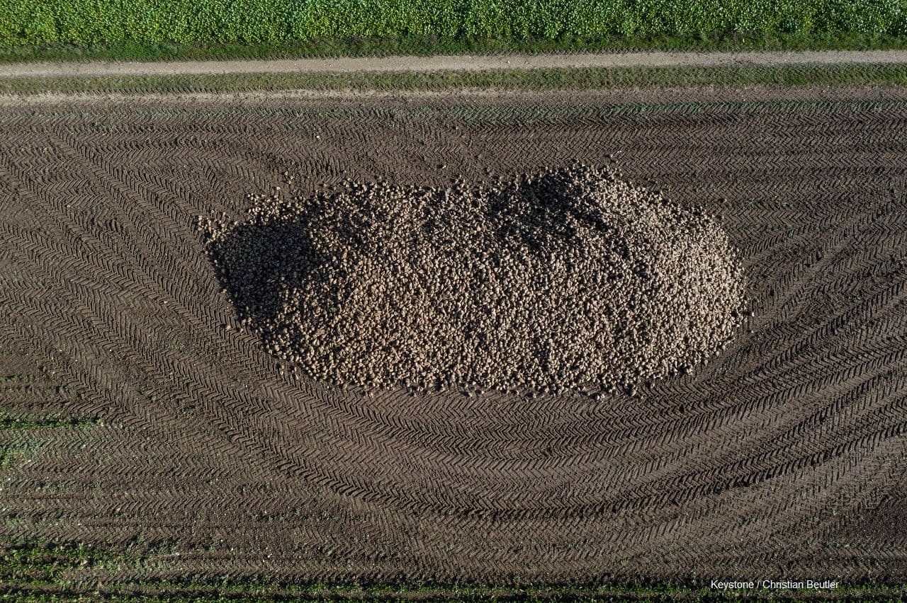 Wochenbericht KW41
