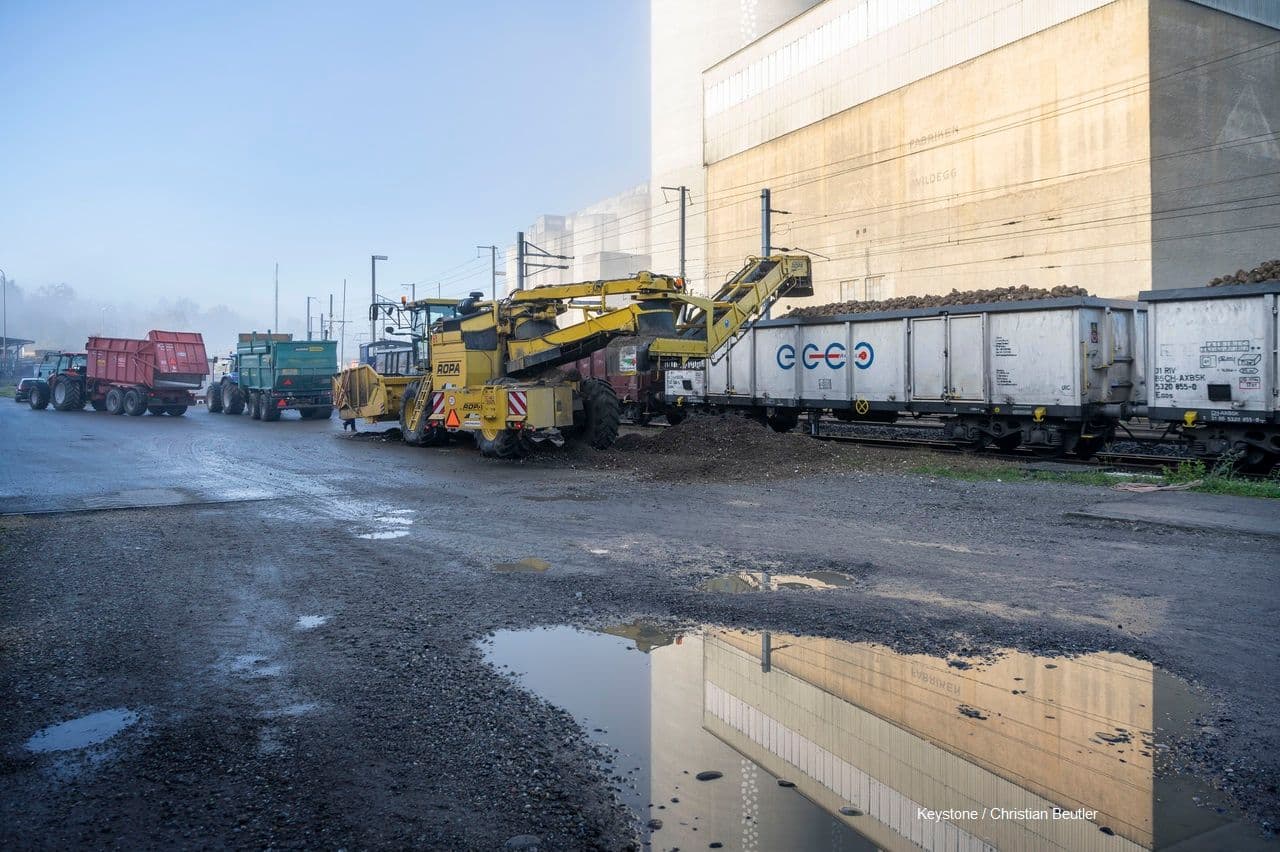 Definitiver Verladeplan Kampagne 2023 