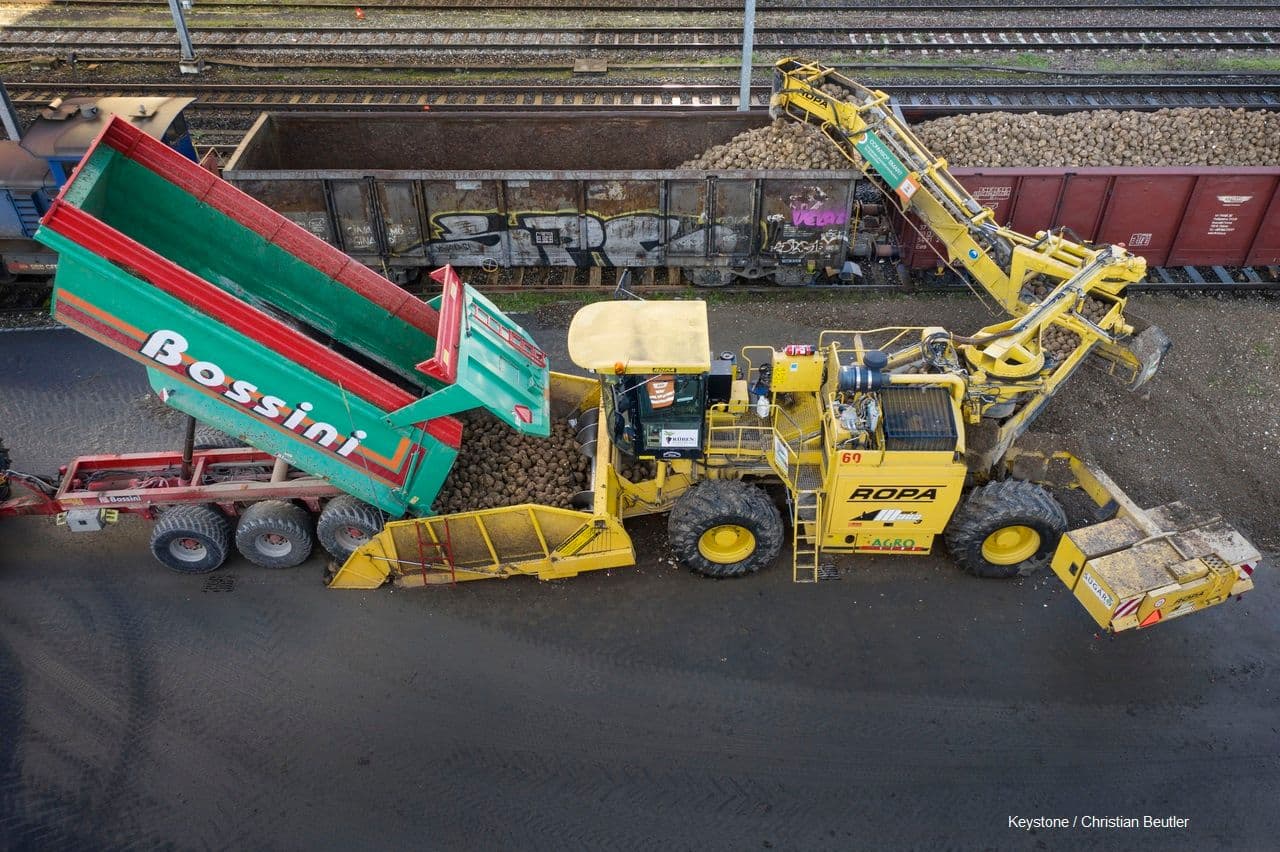 Provisorischer Verladeplan 06.06.2024