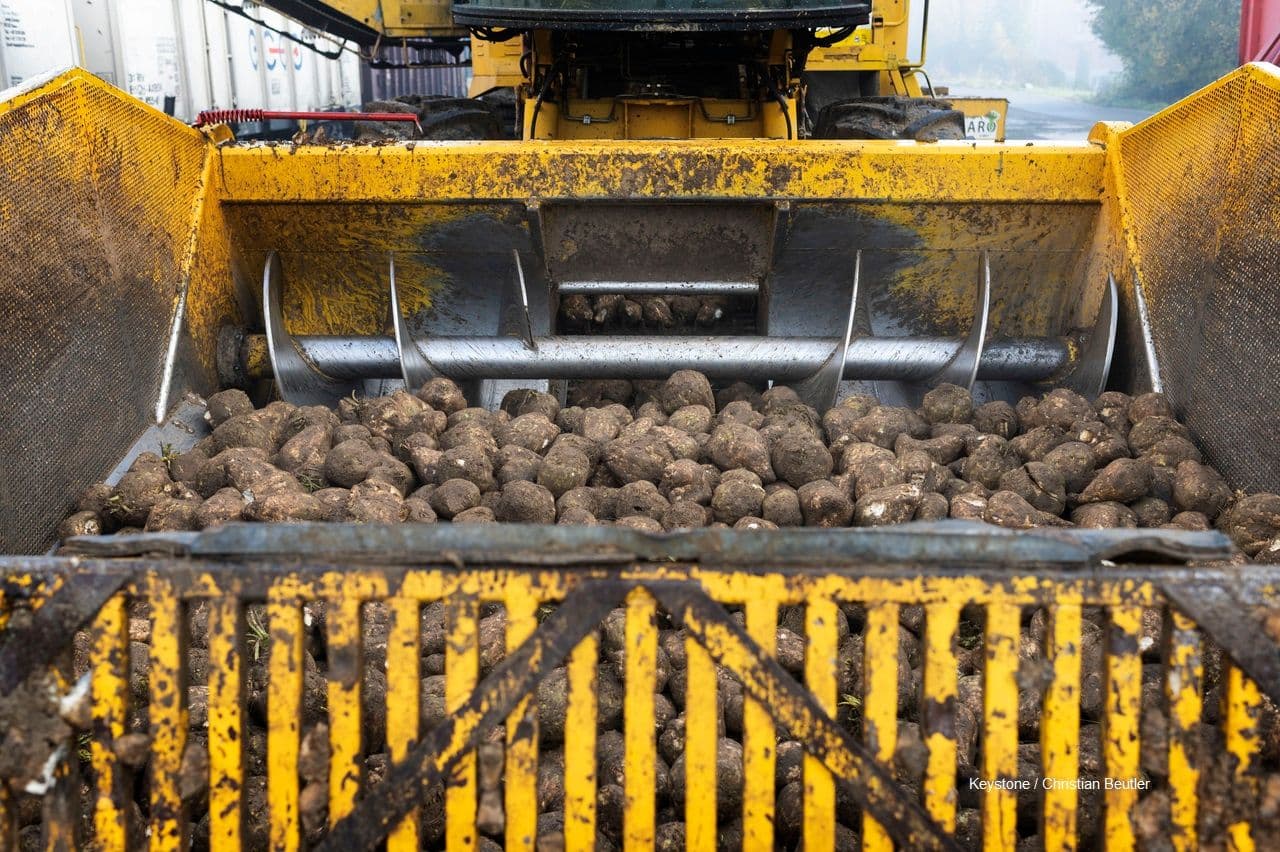 Wochenbericht KW04+KW05