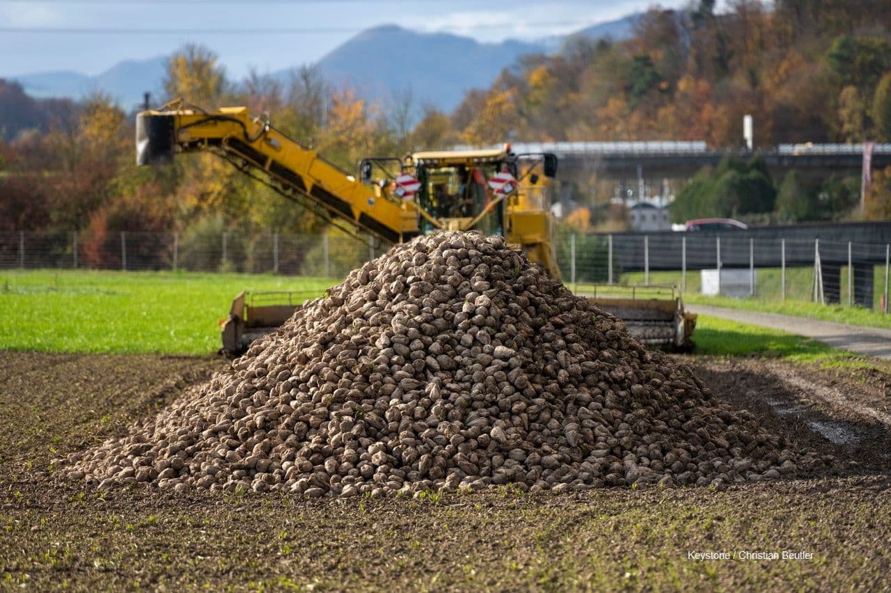 Information über die Mietenbreite in der Kampagne 2021 