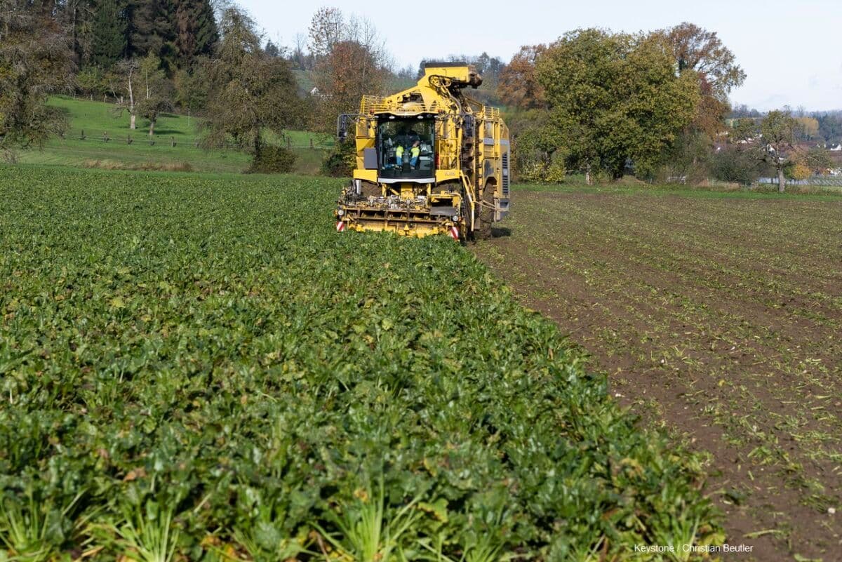 Wettersituation Winter 2023