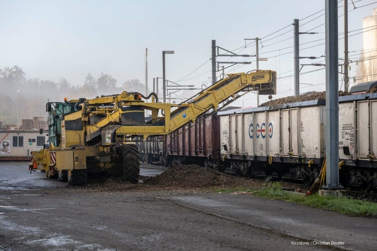 Stelleninserat Maschinist Bahnratte 
