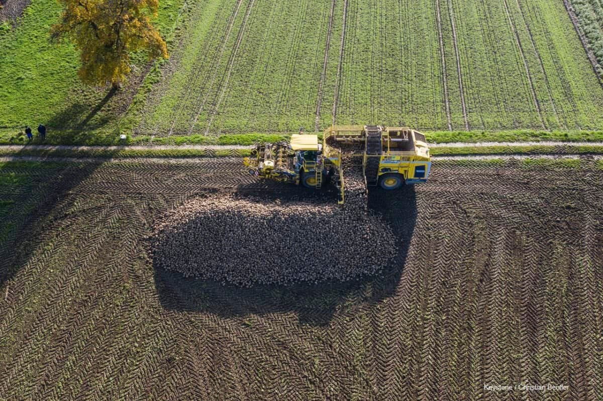 Kampagnerückblick 2020
