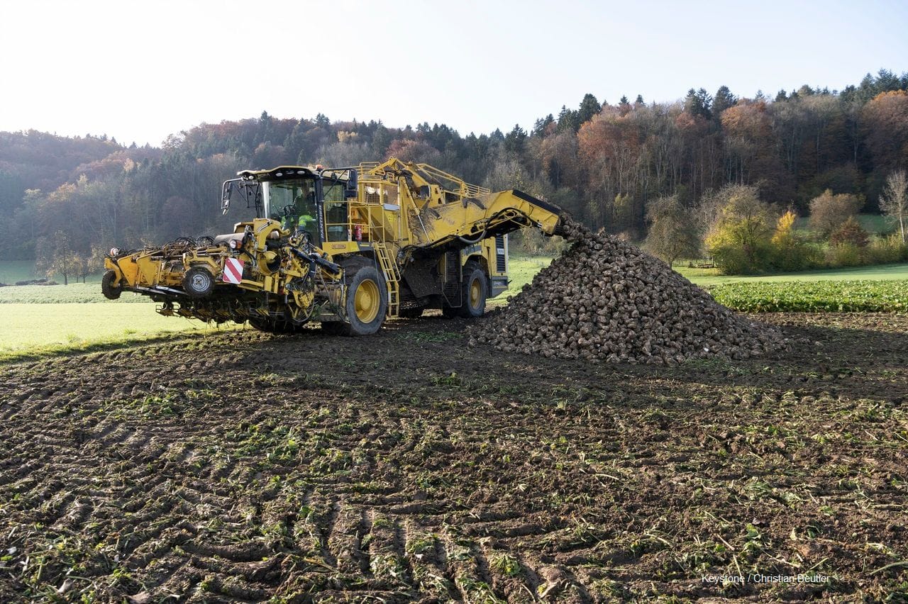 Verladedaten Kampagne 2022