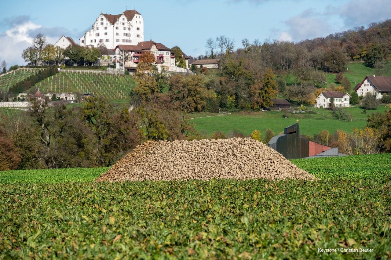 NEUER Verladetermin Lenzburg