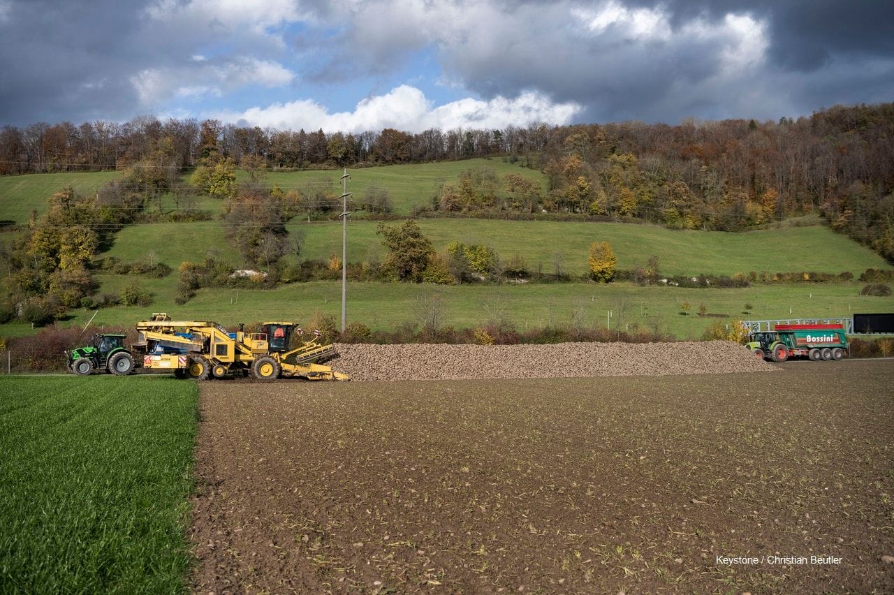 Zwischenstand Kampagne 