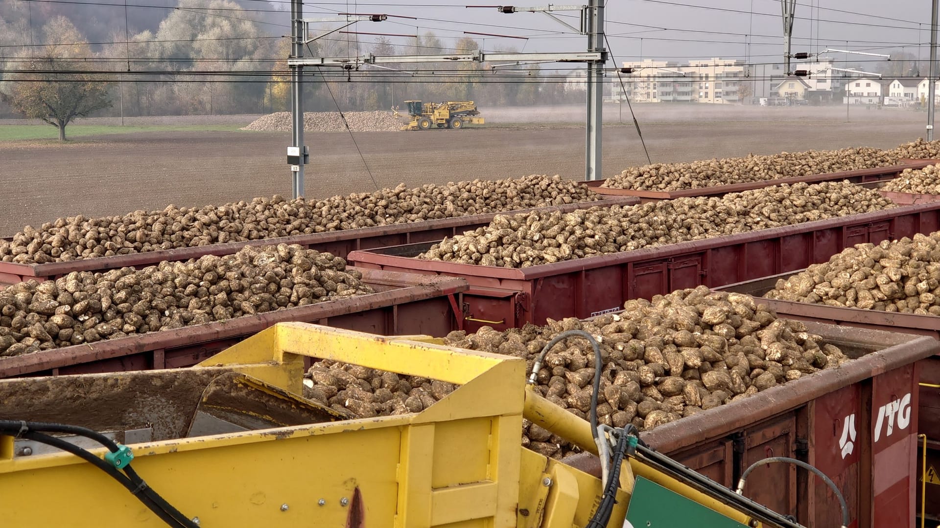 Schlussverladeplan Kampagne 2023