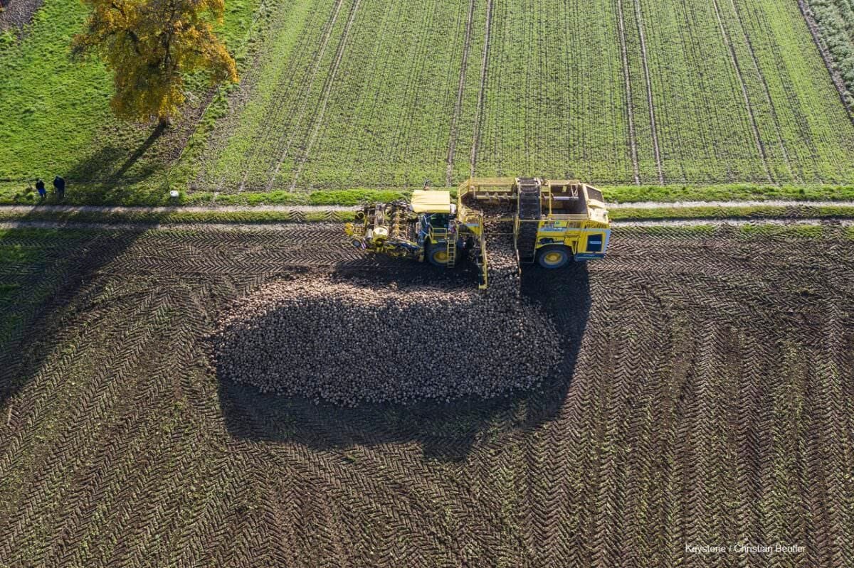 Kampagnerückblick 2020